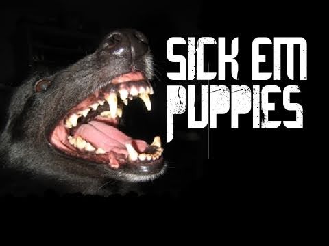 Dr DisRespect’s Black Ops | Sick Em Puppies #1