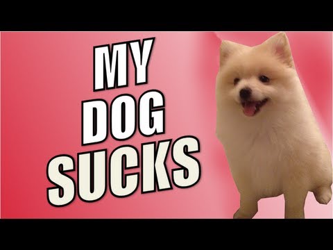 My Dog Sucks
