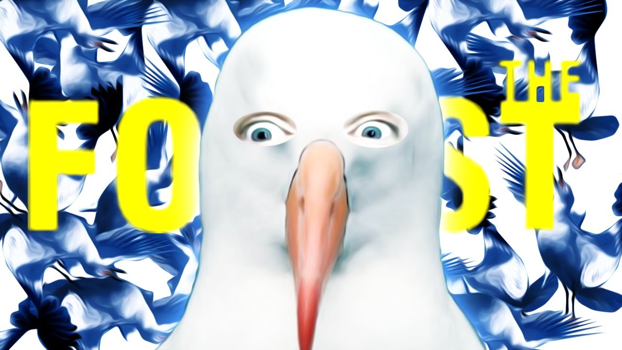 SEAGULL HORROR! – The Forest – Part 2