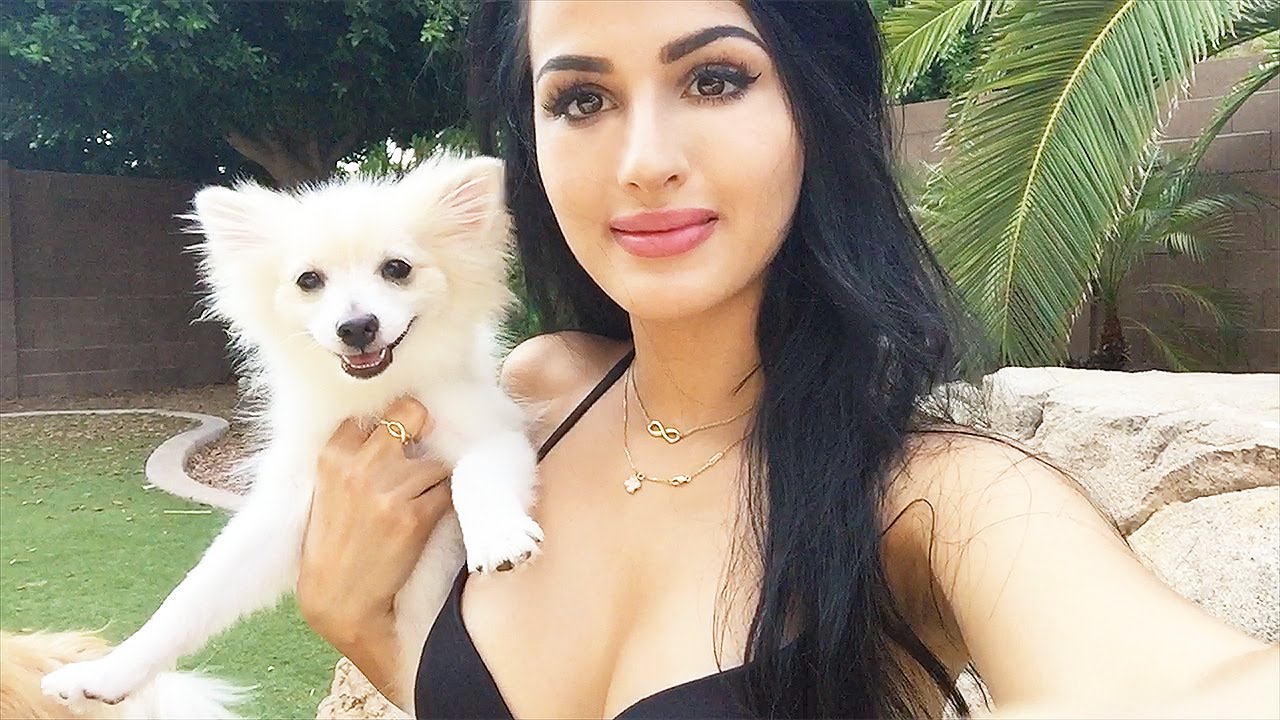 POOL DAY! Day In The Life Of SSSniperWolf!