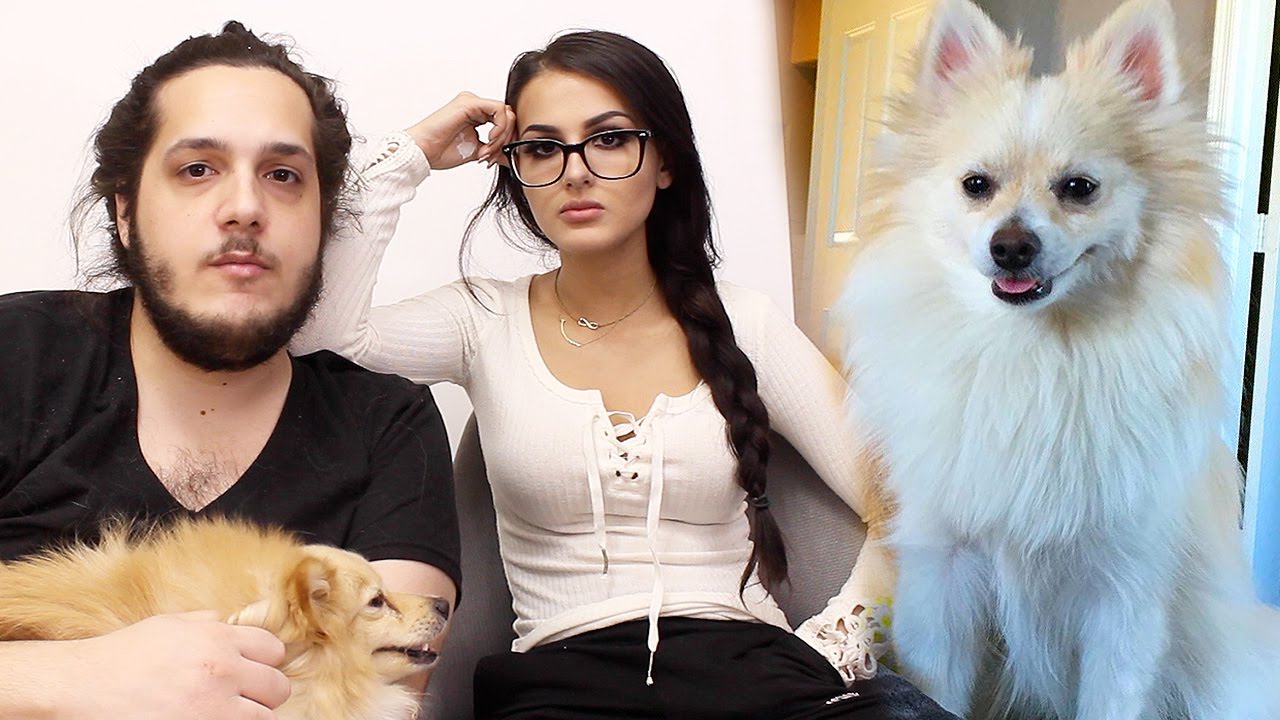 How My Puppy Died