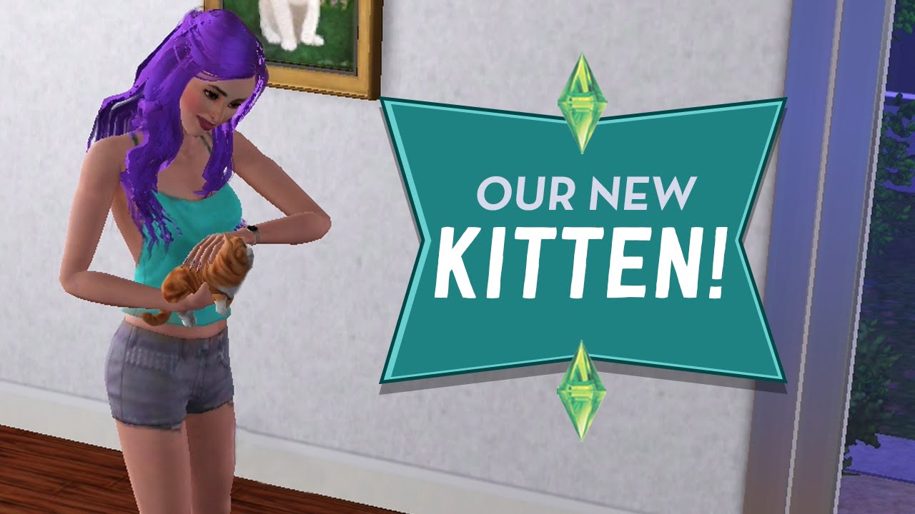 OUR NEW KITTEN – Sims 3 Ever After Ep.41