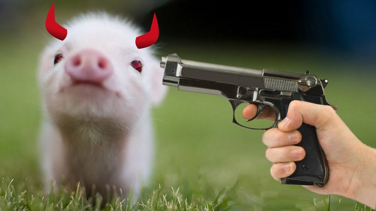 VEGAN GAME FOR VEGANS