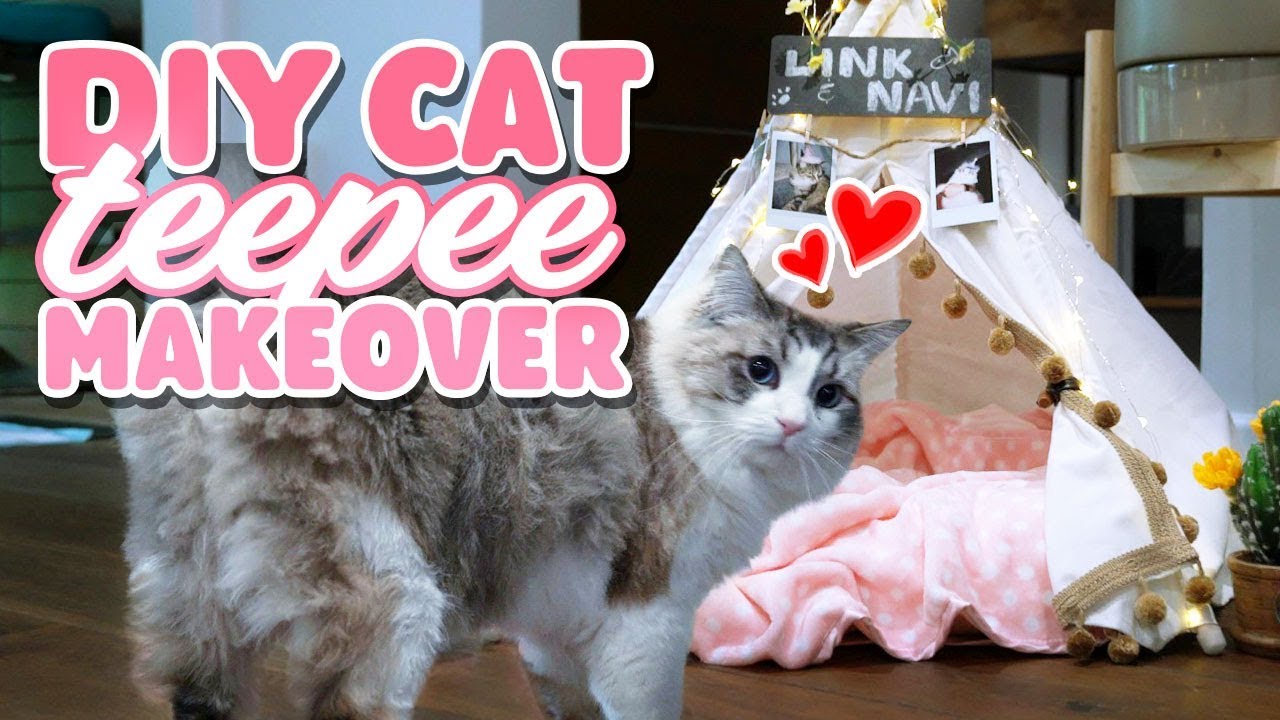 Giving My Cat A House Makeover – DIY