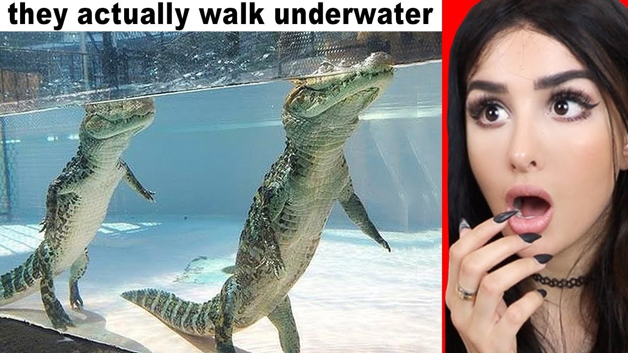 Photos That PROVE Your Life Is A LIE