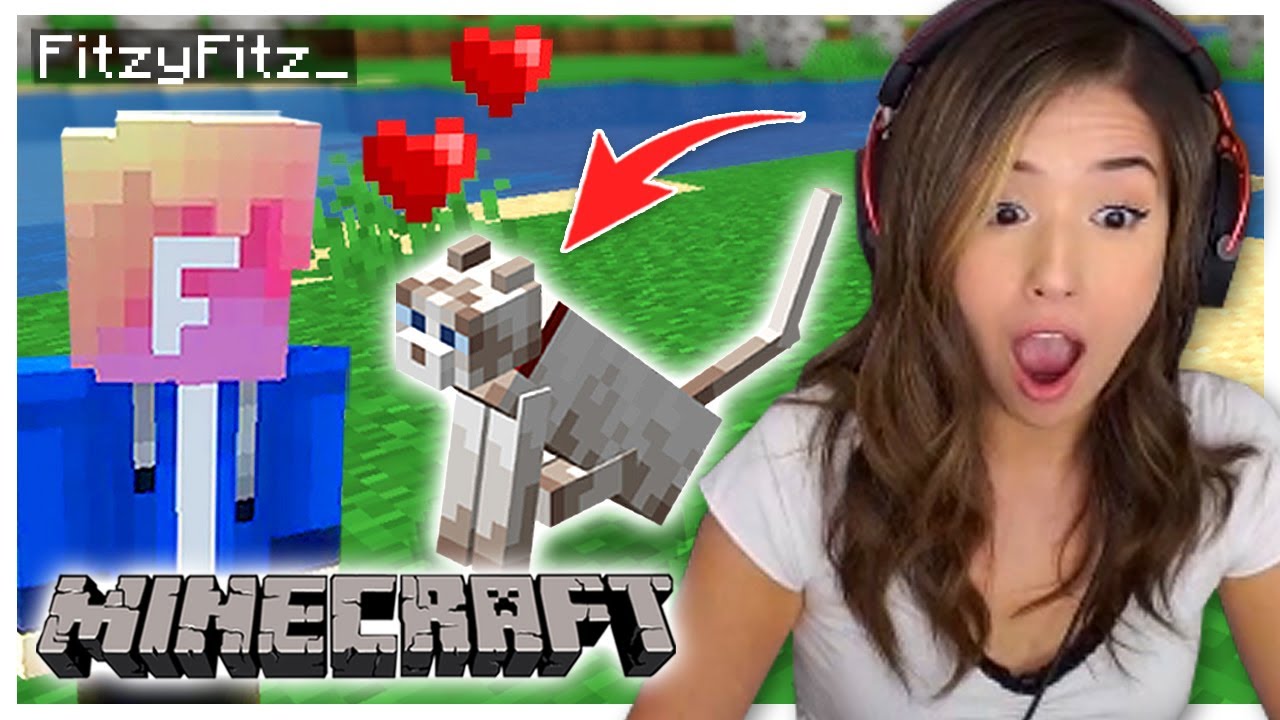I found MY CAT in Minecraft! Fitz and Pokimane Part 4!