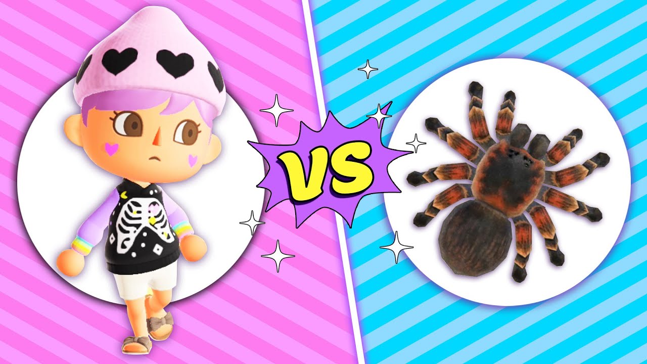 My First Encounter With A Tarantula in Animal Crossing New Horizons