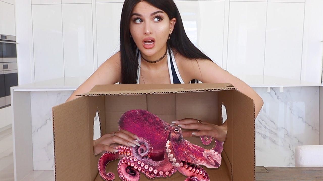 What’s In The BOX Challenge