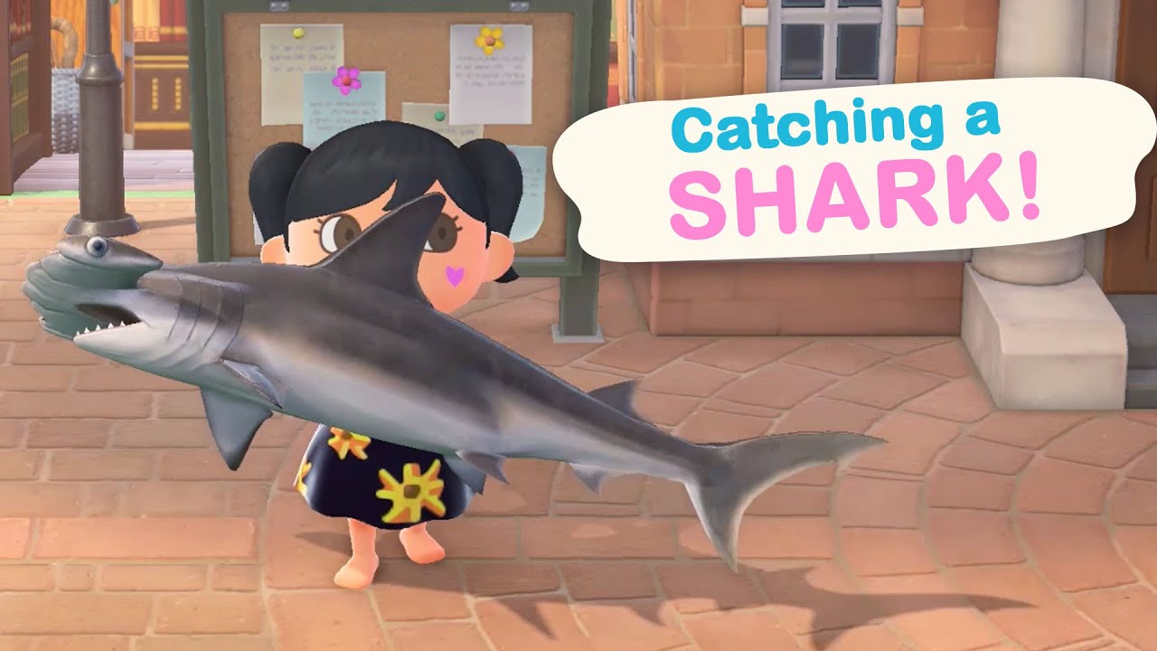 Catching a SHARK in Animal Crossing New Horizons