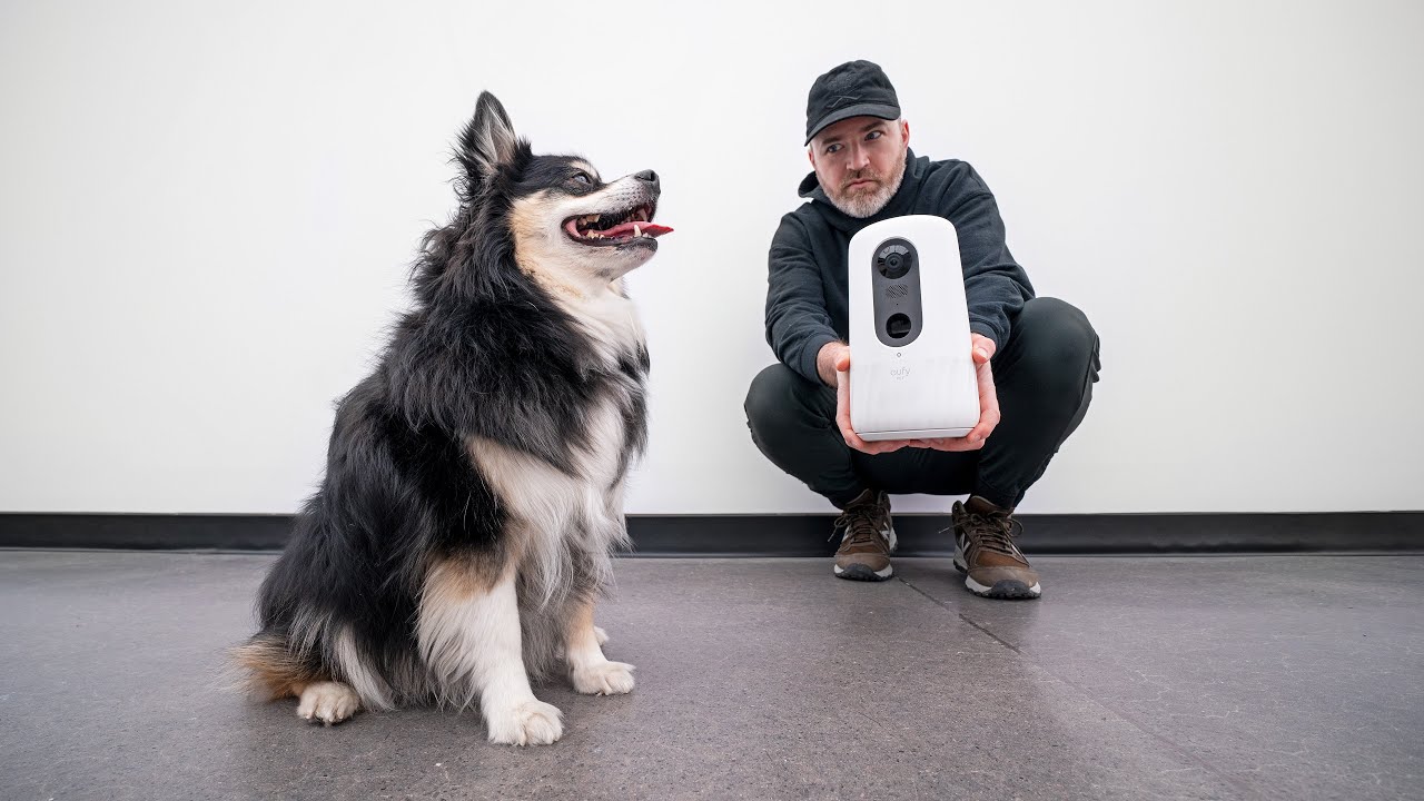 Can This New Gadget Satisfy the Dog…?