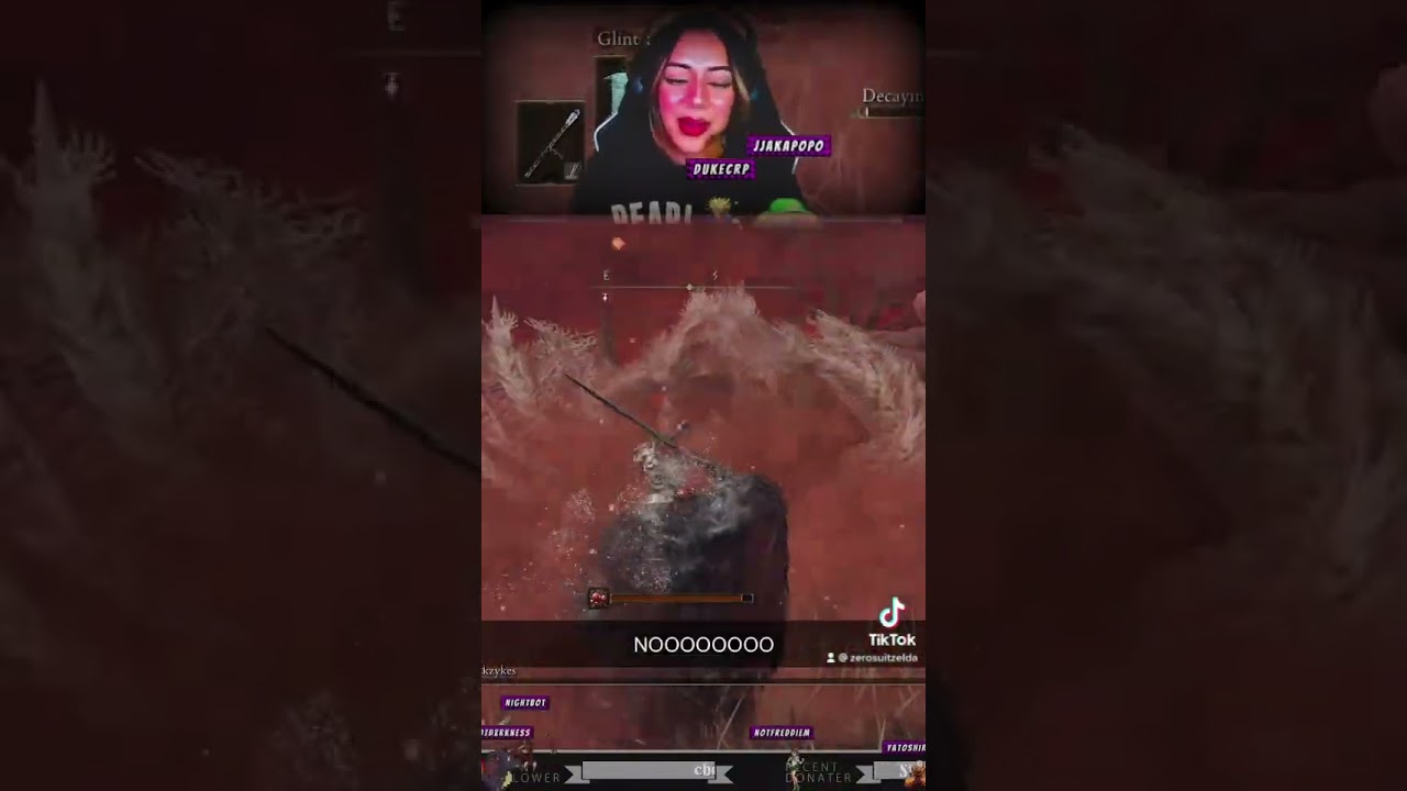 Elden Ring Rookie Fights Dragon