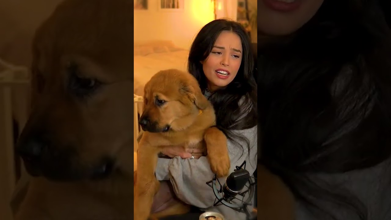 I adopted a new doggie