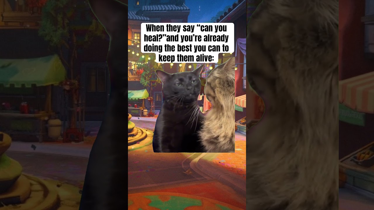 Overwatch Supports Can Relate 😂
