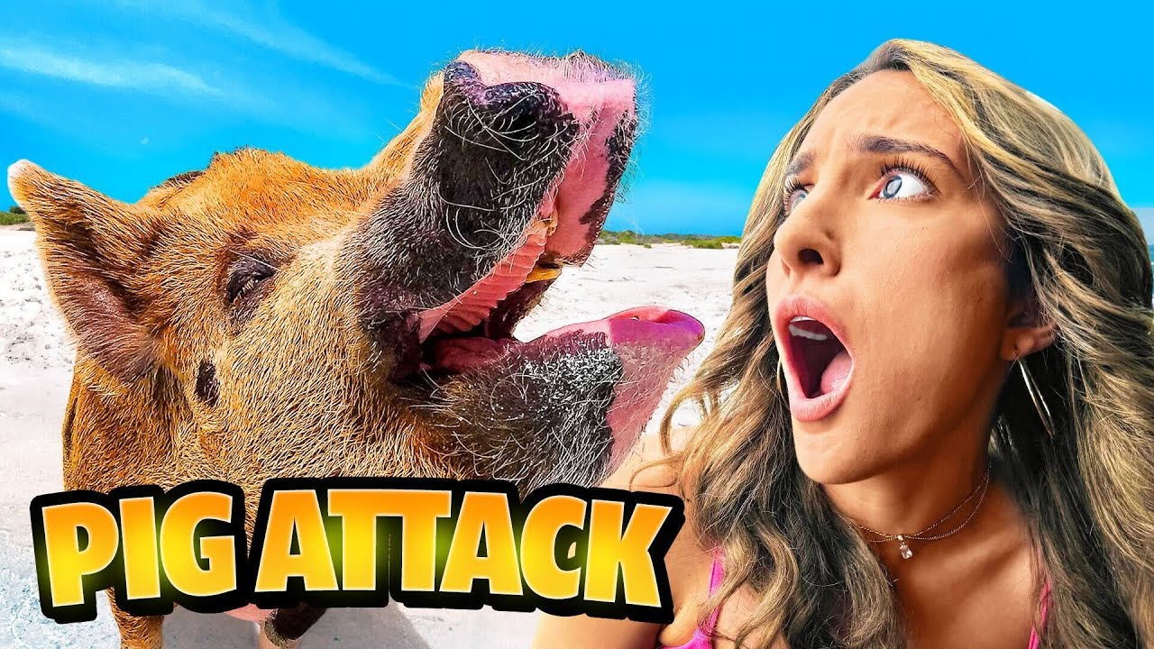 Going To Pig Island In The Bahamas (Pig Attacks Me?!)