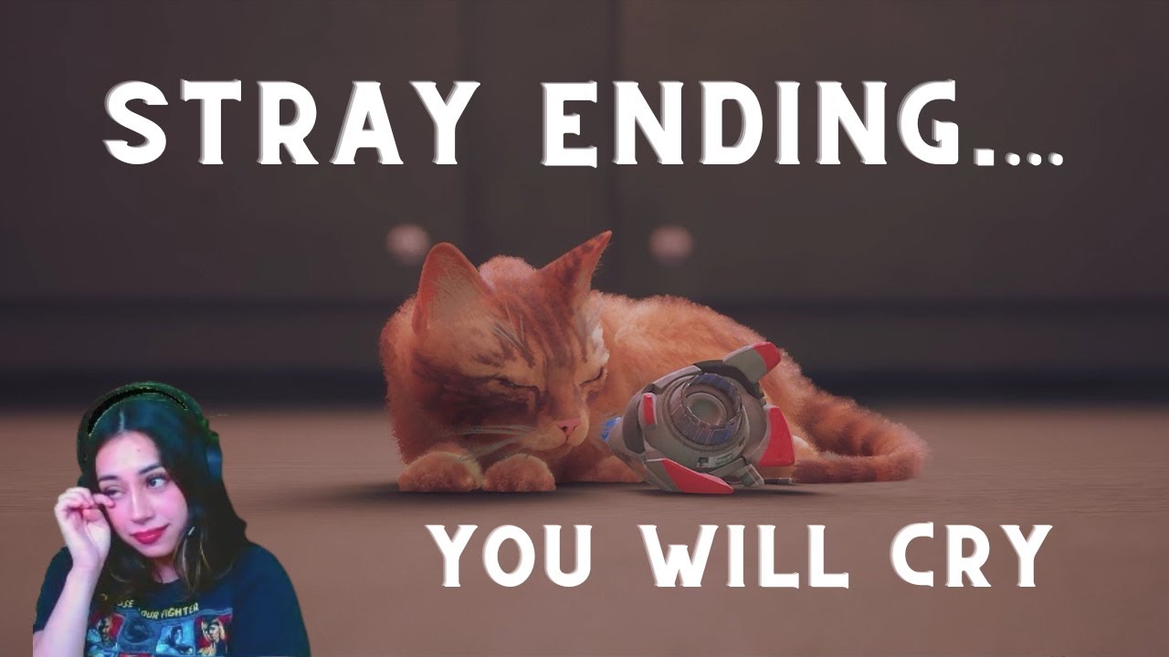 Stray Ending WILL Make You Shed a Tear