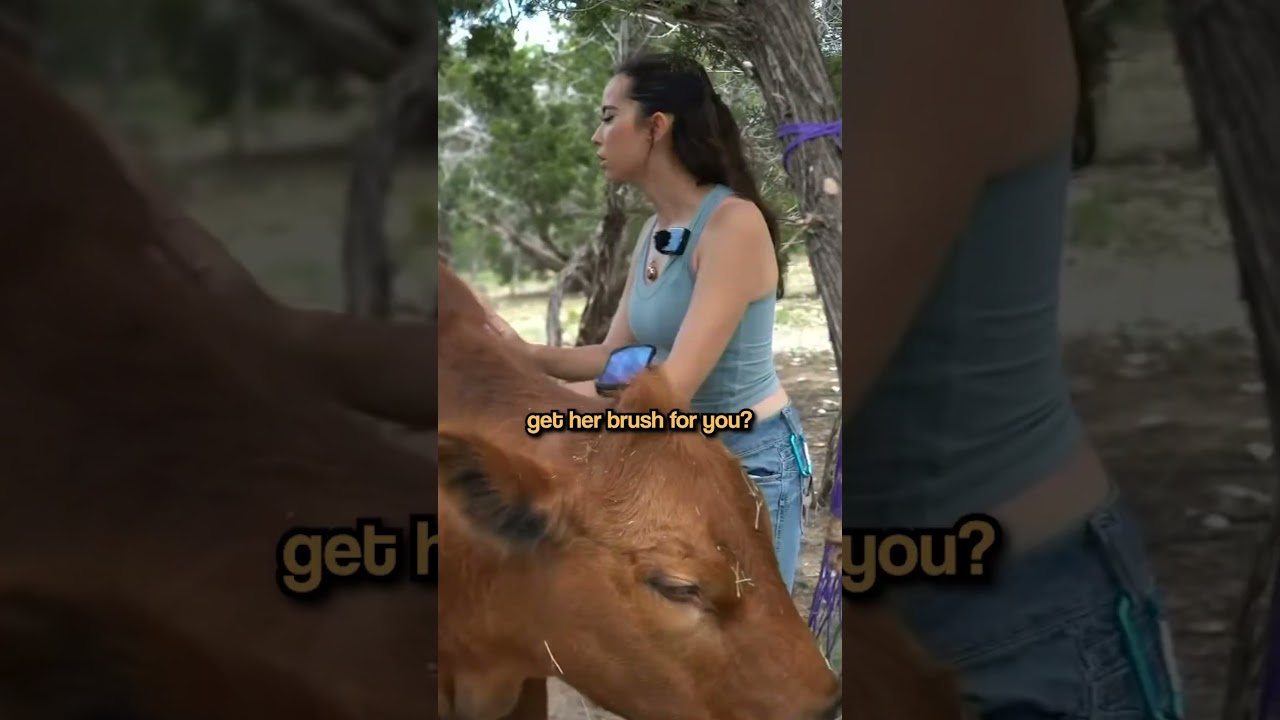 Valkyrae meets Winnie the Moo