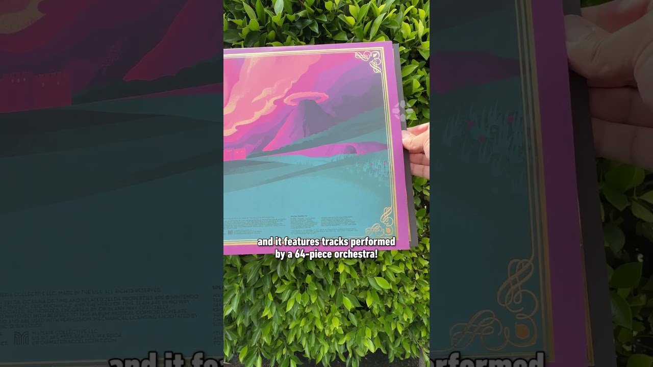 This Zelda Vinyl has a cool hidden detail