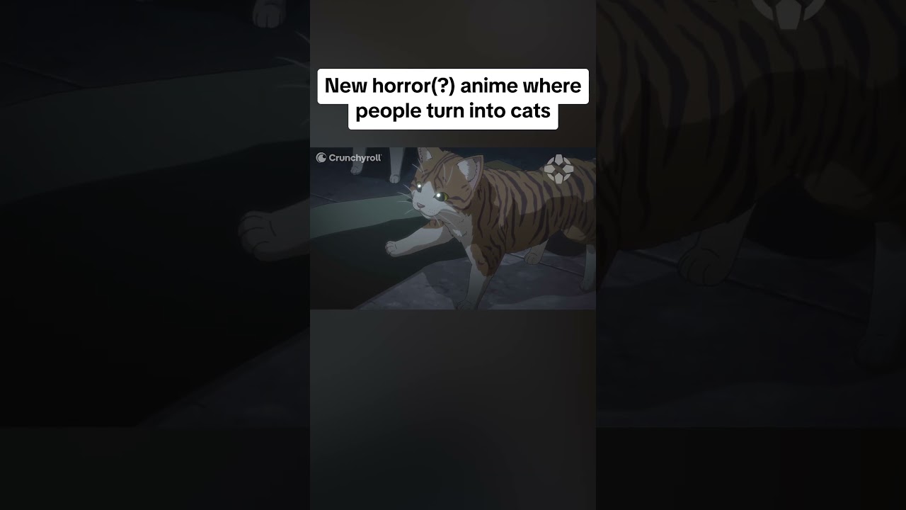 Nyaight of the Living Cat Clip #IGNLive