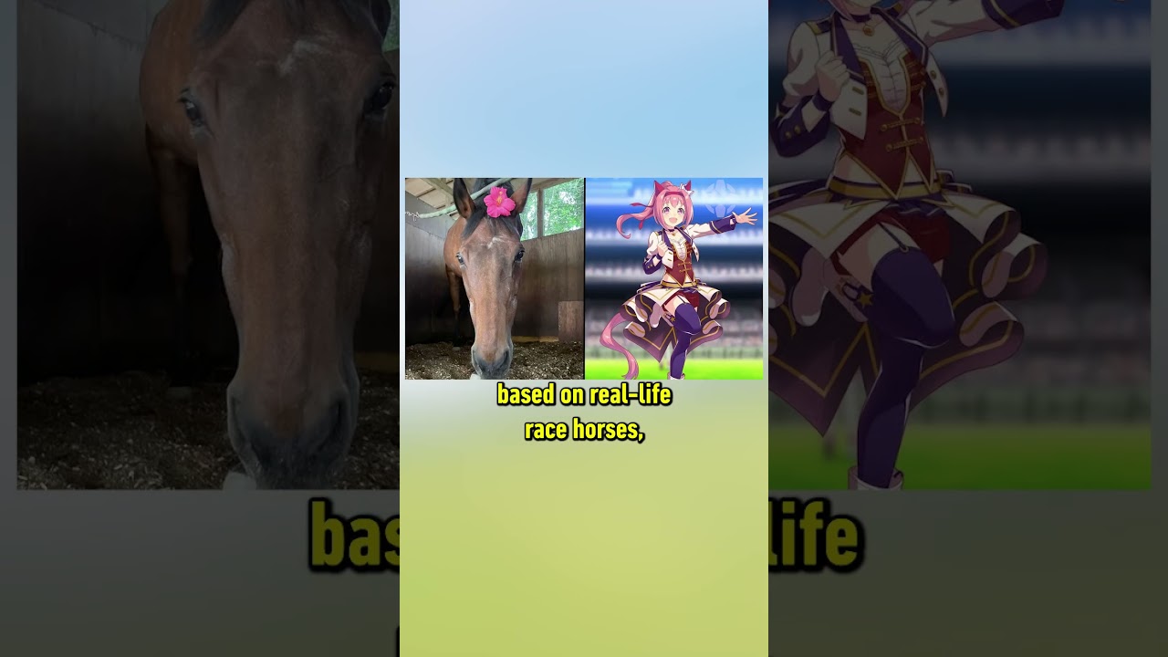 This horse girl game has real life inspirations