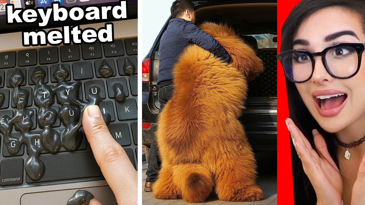 Cool Things You’ve Probably Never Seen Before