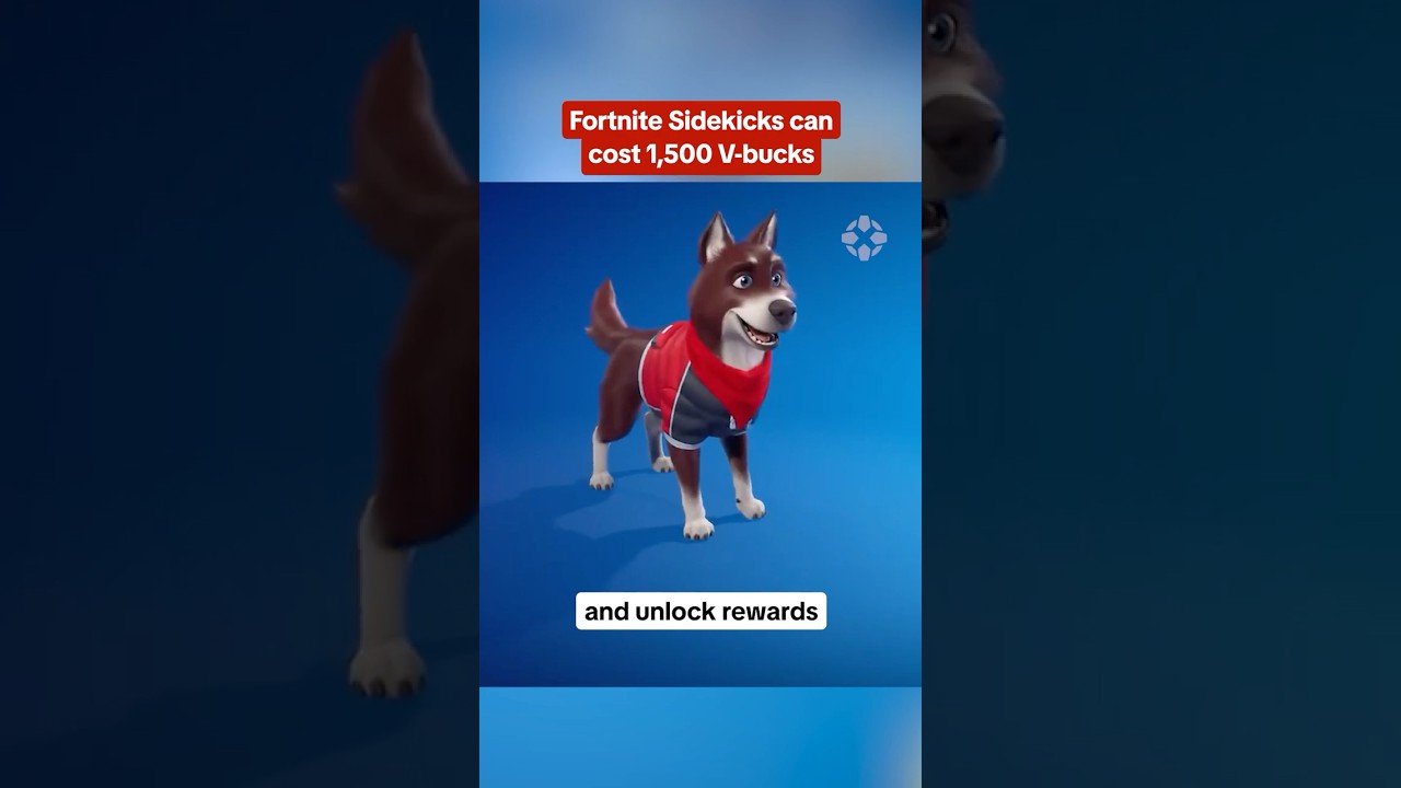 Fortnite Sidekicks can have multiple styles that you can select in your Locker. #fortnite #sidekicks