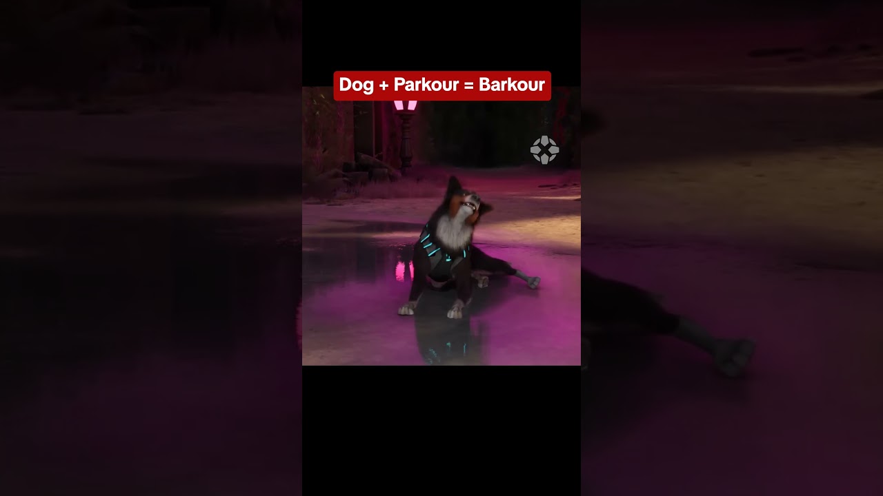Finally, a dog parkour game
