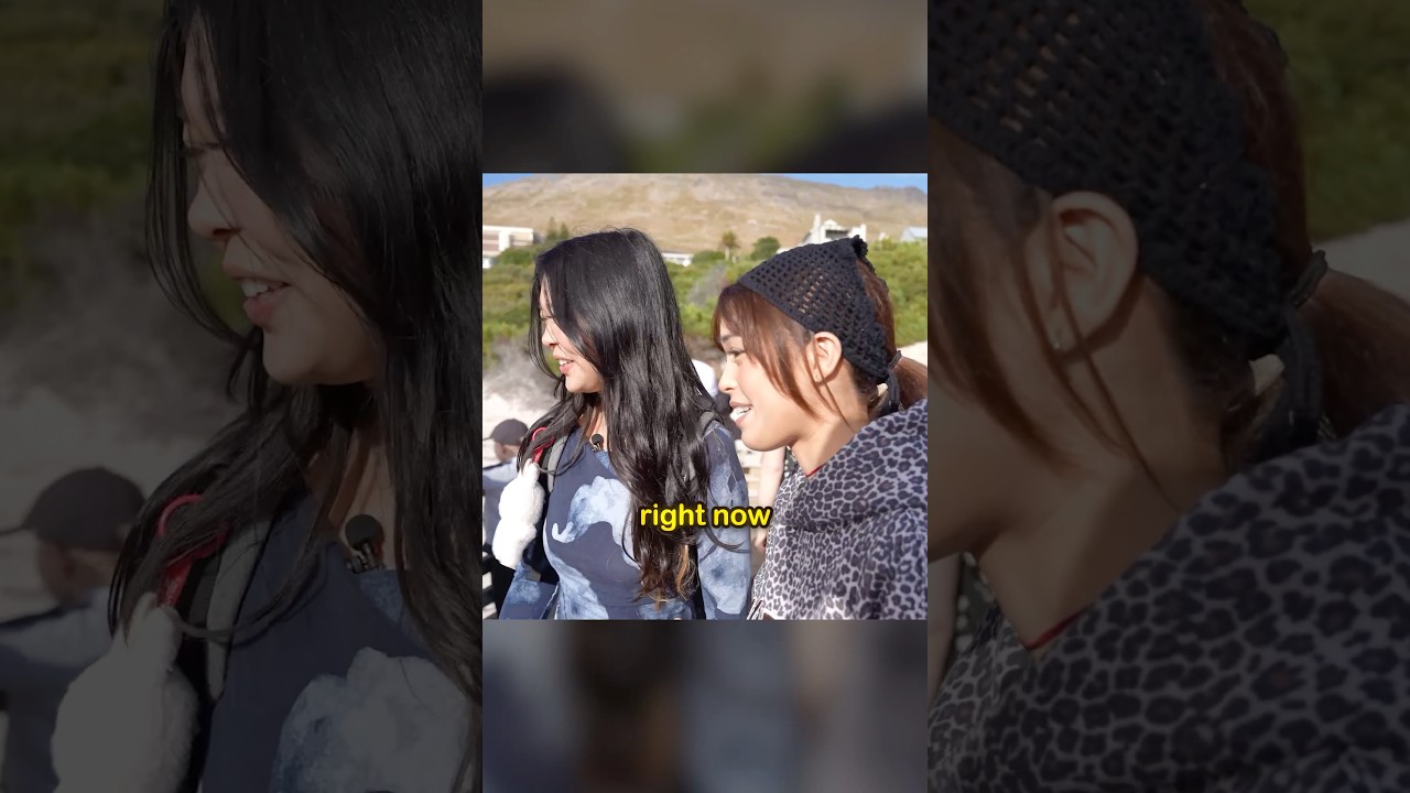 Which Animal Would You Be?