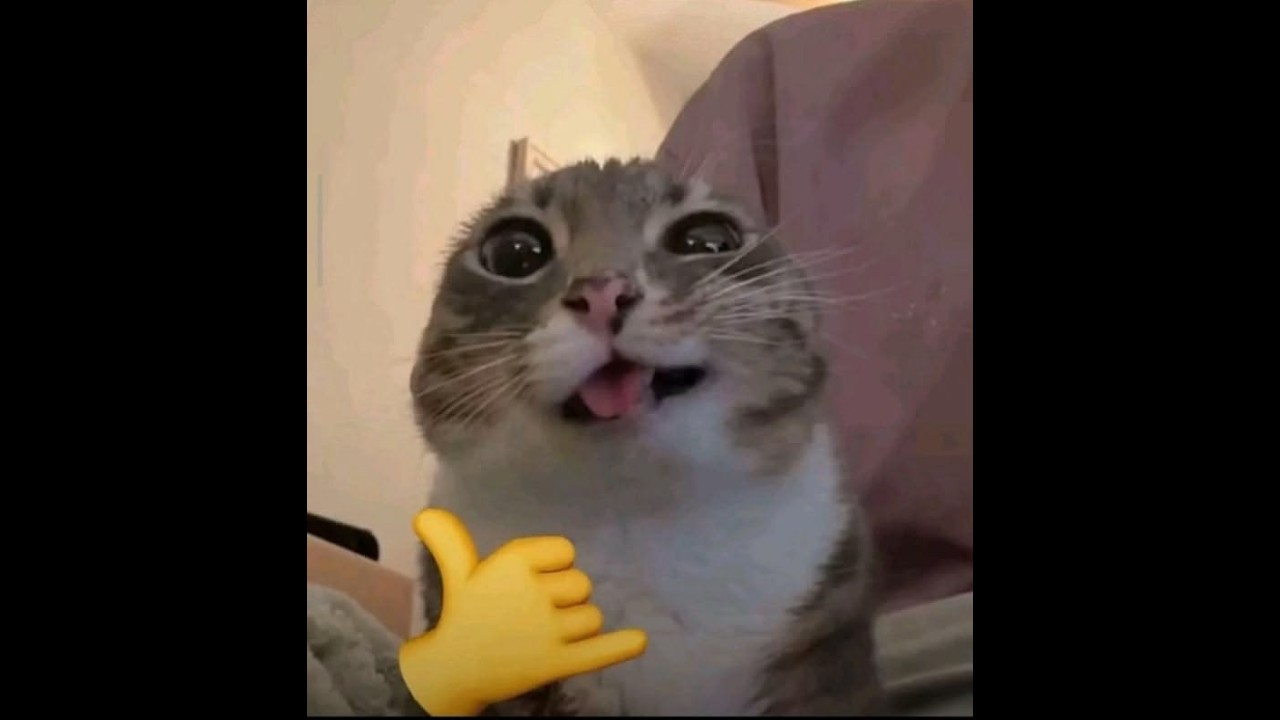 Community Talent Show and then Some Gaming